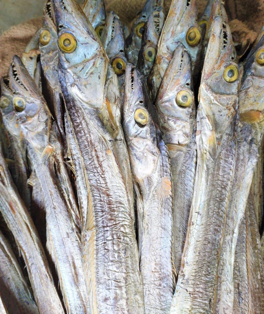 bde4ecede1fdfcc43fb7ab59d48d4a58